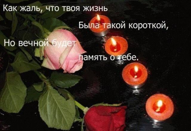 ❤️Муля, Марточка, Цыплята❤️